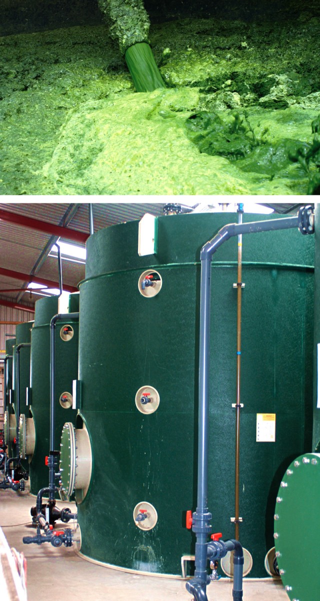 Ad And Biogas Technology Developments In Uk Biocycle Biocycle