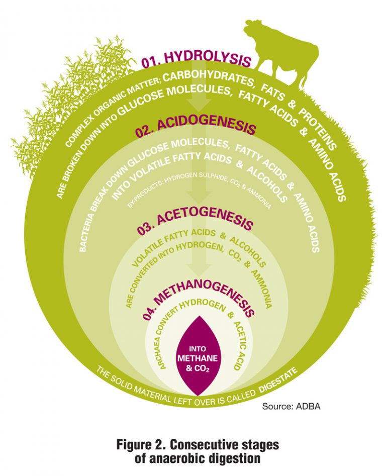 Framework For Ad Project Development Biocycle