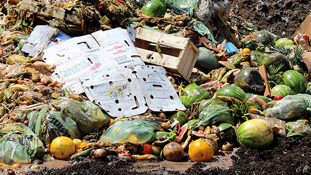 What Is Food Waste Definition