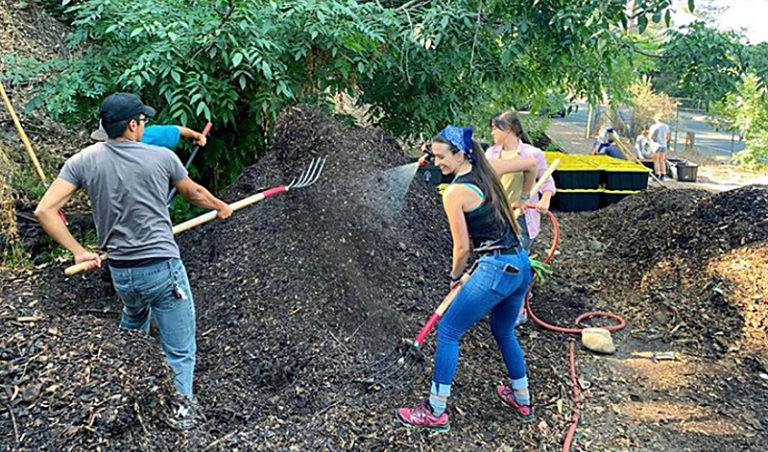 USDA Grants For Community Compost And Food Waste Reduction Pilots | BioCycle