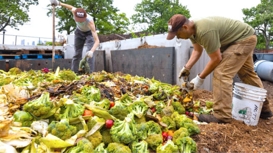 nyc community composting